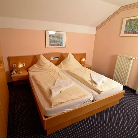 Ferienhotel Rothbacher Hof Отель Боденмайс