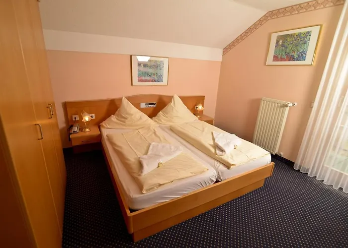 Rothbacher Hof Отель Боденмайс